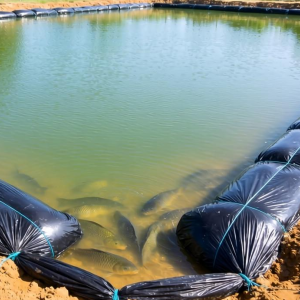 鱼塘土工膜如何有效防止渗漏