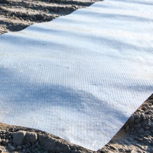 PE土工膜该怎么选 防渗性能优异的类型有哪些