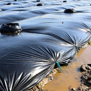 氧化塘土工膜如何提升污水处理效率与耐久性
