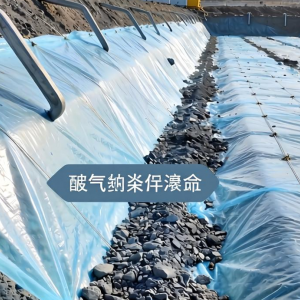 新型材料化飞灰填埋场土工膜有哪些核心优势？