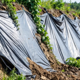 生活垃圾填埋场土工膜可作装饰材料？利用技术有哪些？