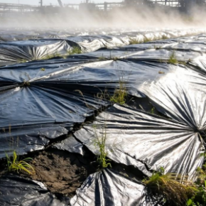 工业社会团体废物填埋场土工膜该如何选型与维护？