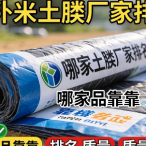国内土工膜厂家排名如何 哪家产品更靠谱