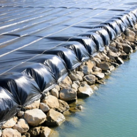 鱼塘底部防渗膜怎么选 铺设注意事项有哪些