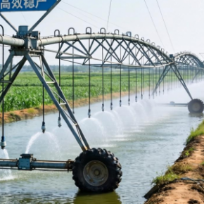 鱼塘养殖如何依托农业水利实现高效稳产？