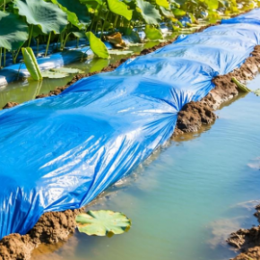 藕池建设选土工膜有哪些要点？怎么选更靠谱？