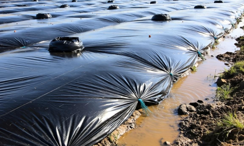 氧化塘土工膜如何提升污水处理效率与耐久性