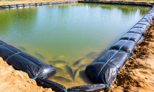 鱼塘土工膜如何有效防止渗漏