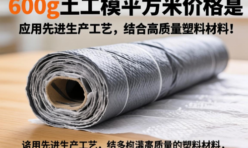 800g土工膜每平米价格是多少