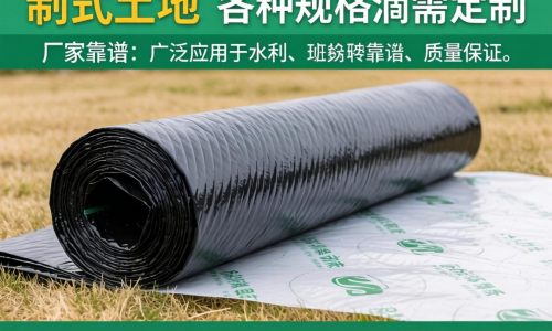 土工膜厂家定制哪家靠谱 可按需定制各类规格吗