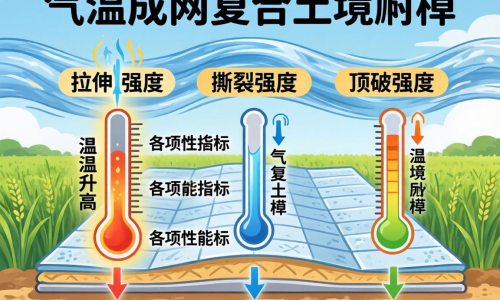 气流成网复合土工膜的性能优势及适用场景有哪些?
